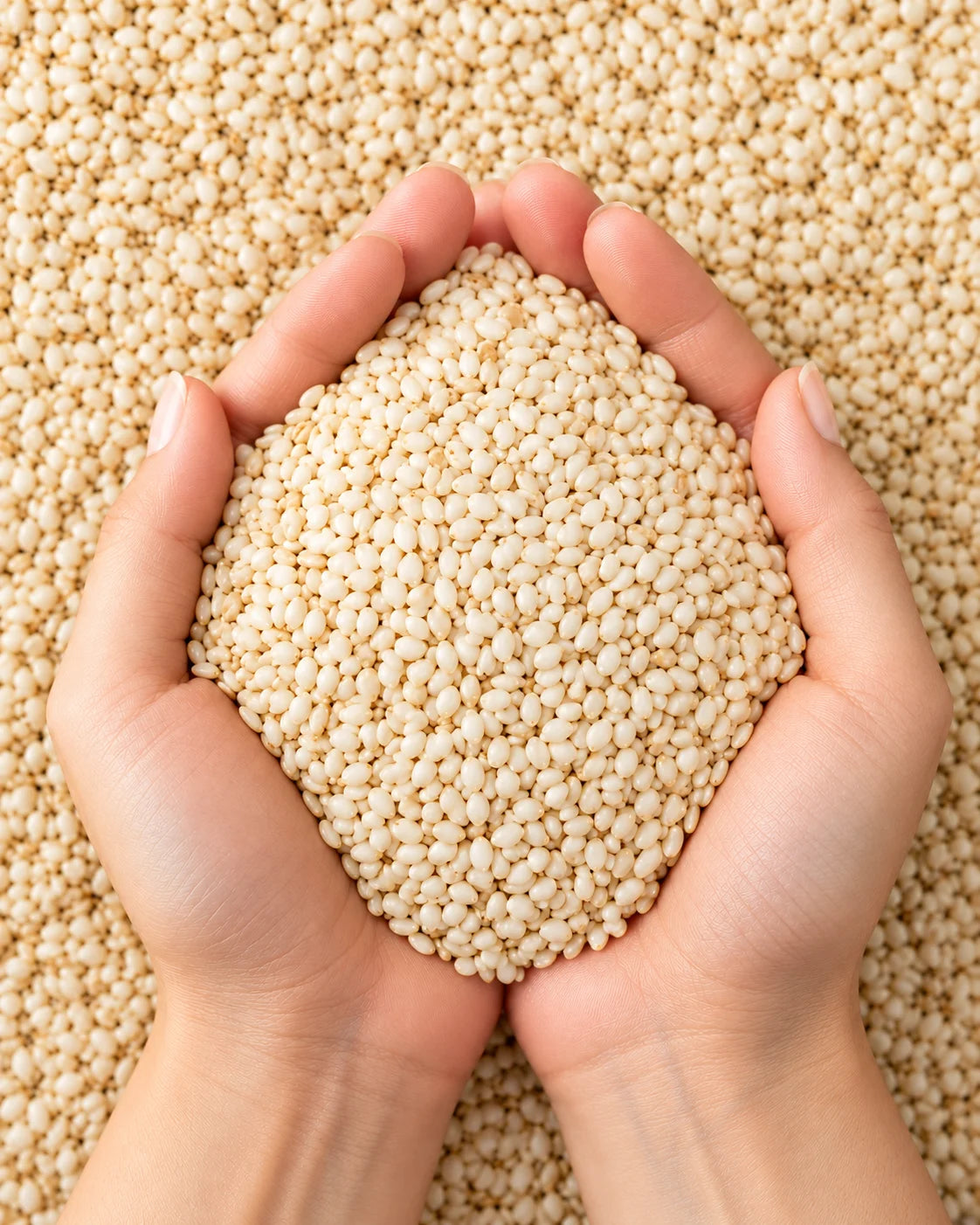 Sesame Seeds – White Til