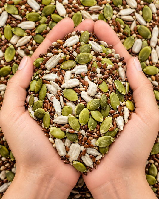 Char Maghaz – Four Seeds Mix