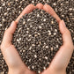 Chia Seeds