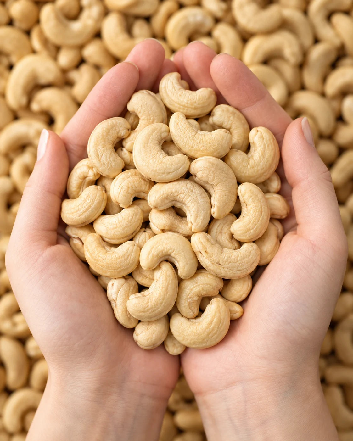 Cashew Nuts – Whole Kaju