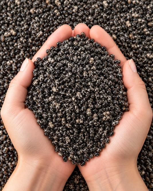 Basil Seeds – Tukh Malanga