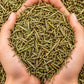 Dried Rosemary Leaves