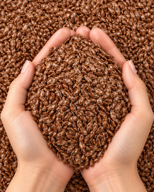 Flax Seeds – Alsi