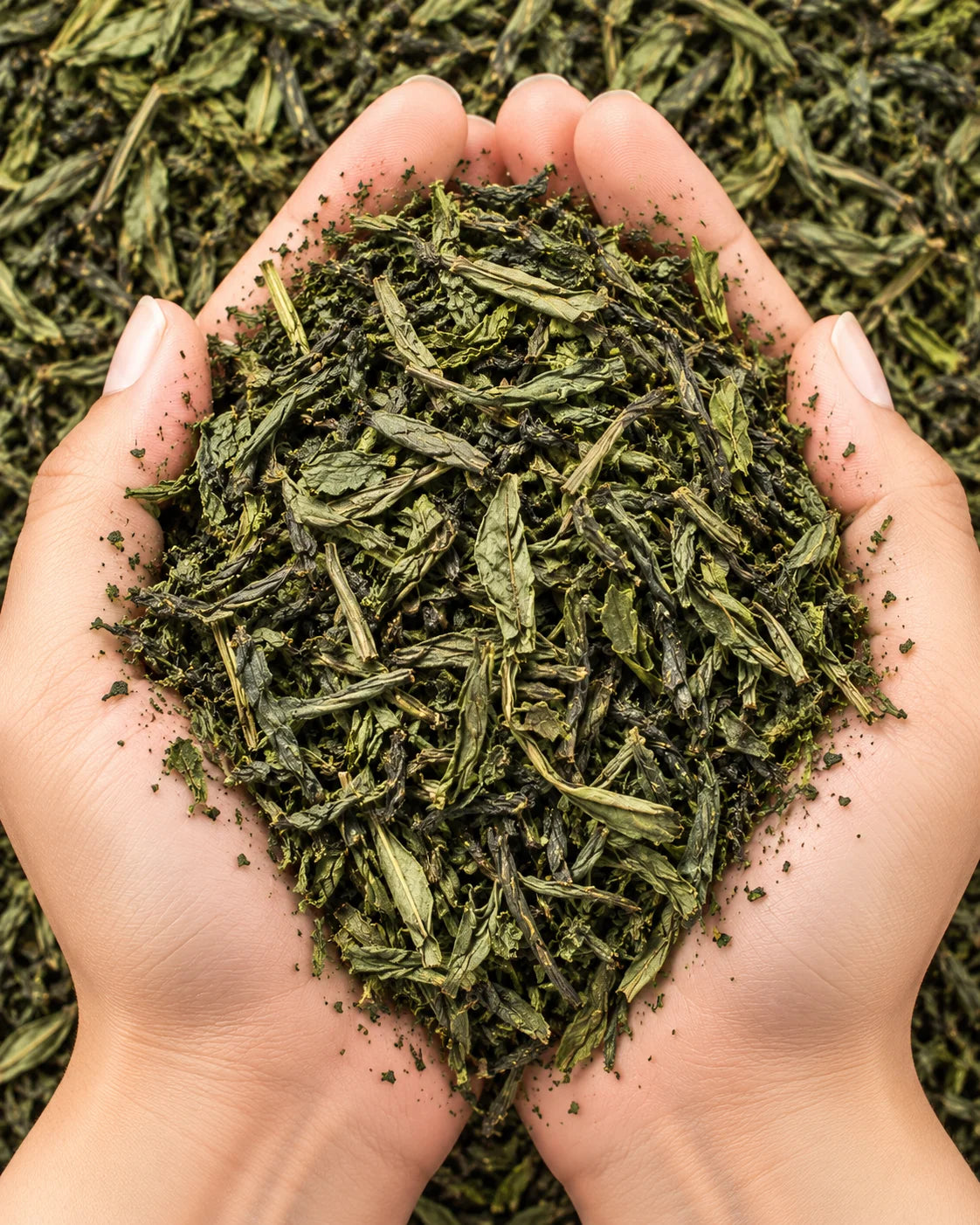 Herbal Green Tea Leaves