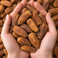 Nur Chuwara – Premium Dried Dates