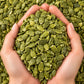 Pumpkin Seeds – Kaddu Ke Beej