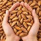Chilgoza - Pine Nuts