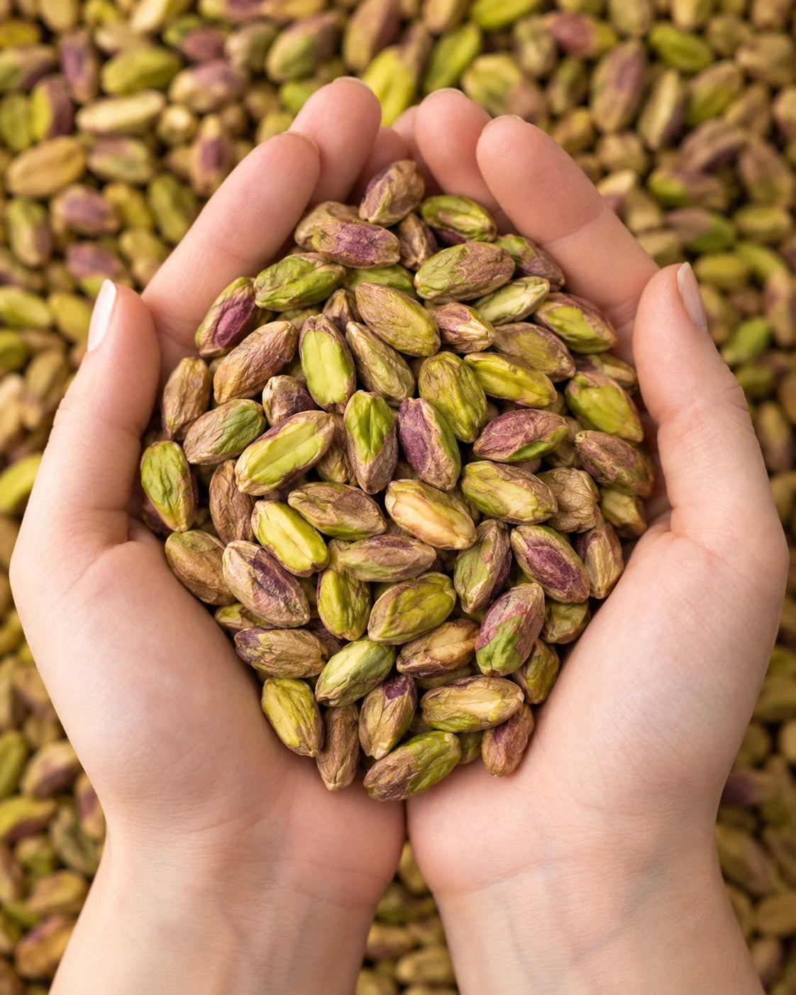 Plain Pistachios – Pista