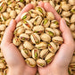 Salted Pistachios – Namkeen Pista