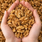 Walnut Kernels – Akhrot Giri