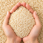Sesame Seeds – White Til