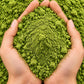 Moringa Powder – Sohanjna Powder